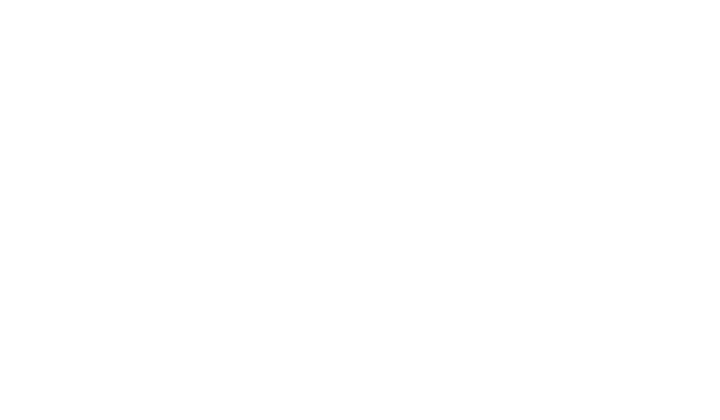 logo localiza ZARP